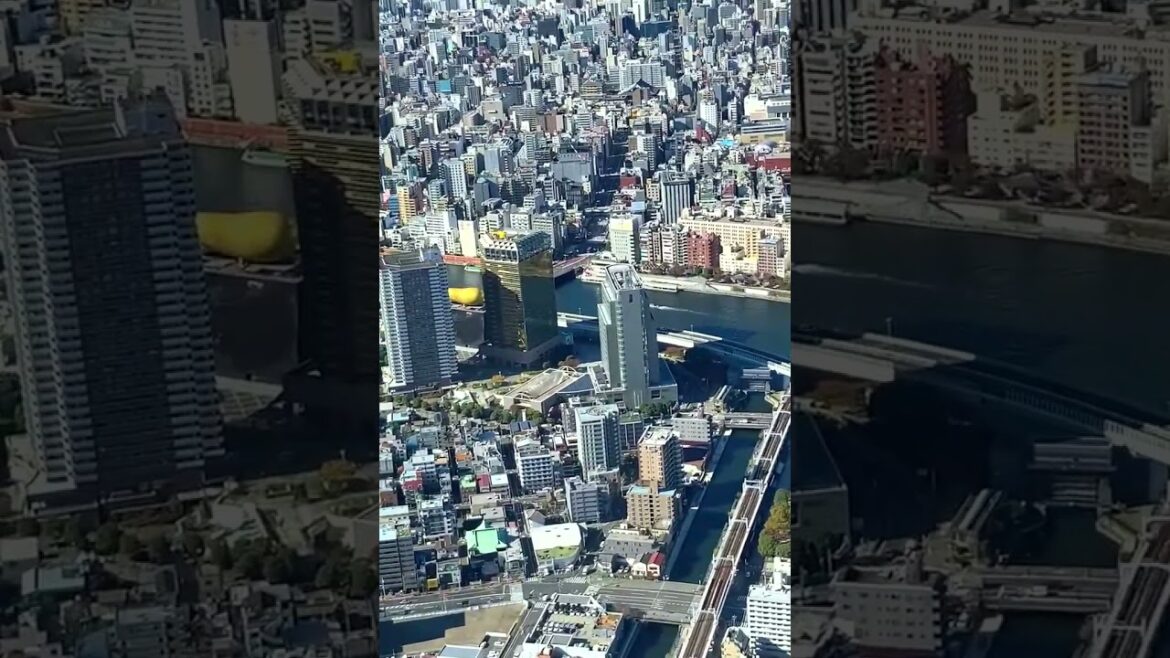 The View From Tokyo Skytree