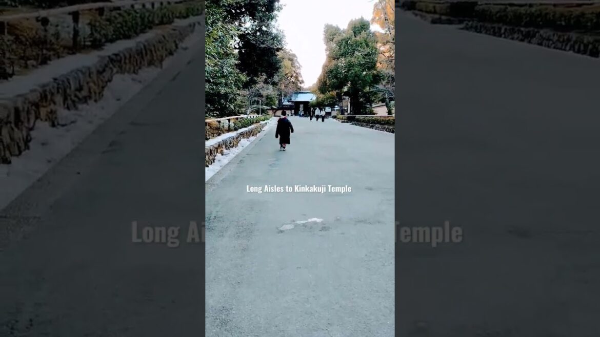 #kyototemple #worldtourist #travel #japan #nature #viral #travelvlog #japanvlog #kidtripadvisor