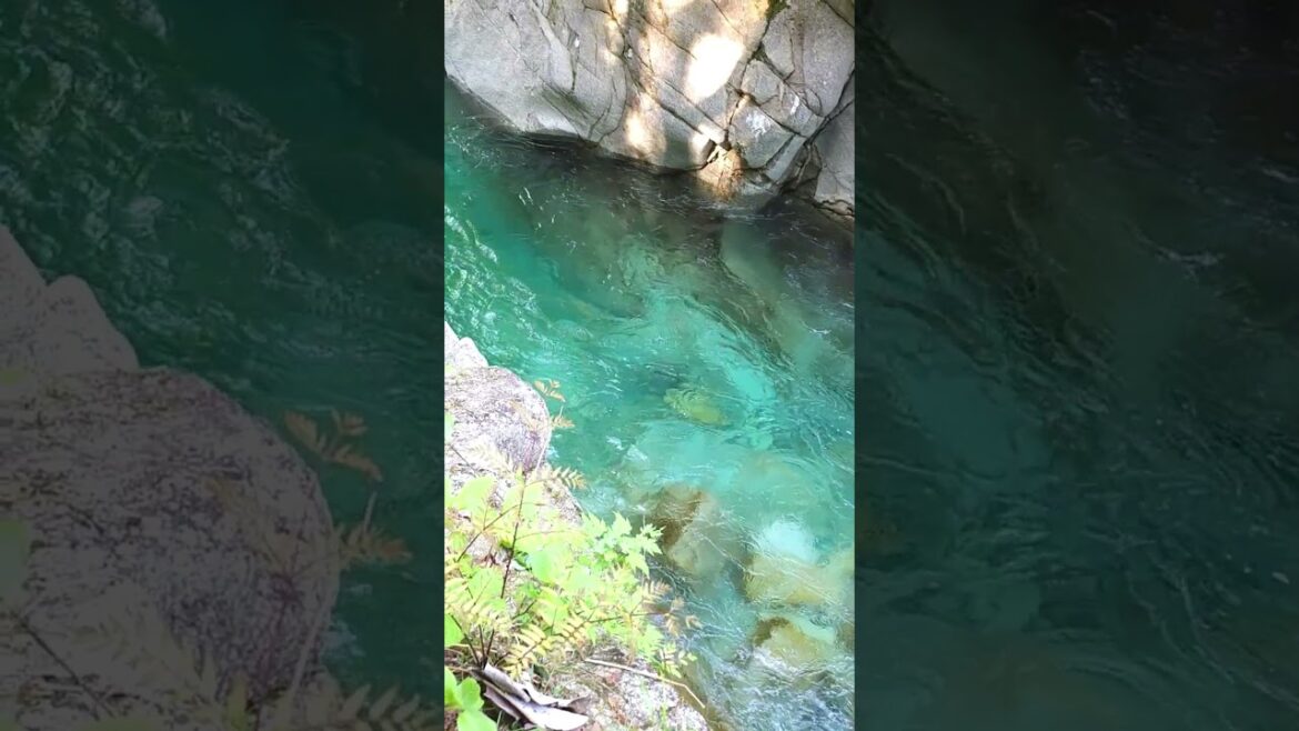 柿其渓谷 Kakizone Valley #nagano #japantravel #shorts