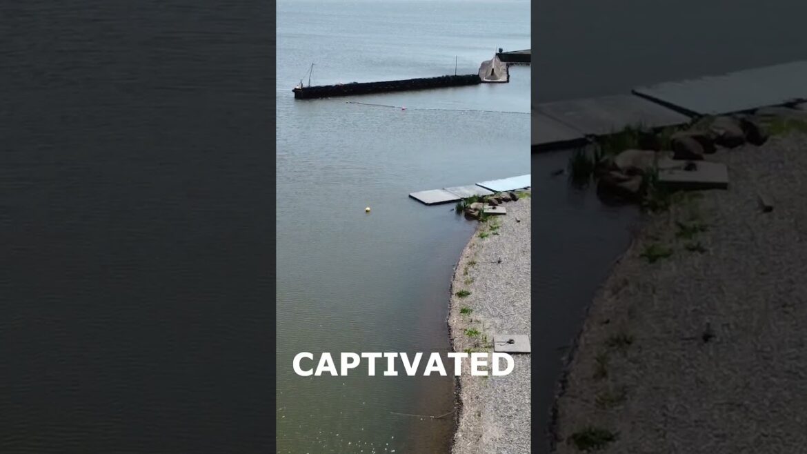 “Lake Suwa: The Real-Life ‘Your Name’ Anime Location & Its Rich History 🌊🎌”.  #shorts "Lake Suwa: The Real-Life 'Your Name' Anime Location & Its Rich History 🌊🎌".  #shorts