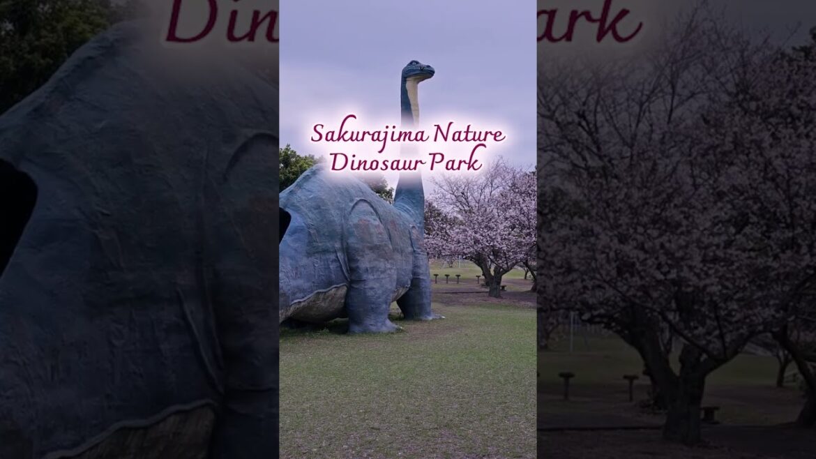 One Day Trip in Kagoshima รวมครบจบในคลิปเดียว