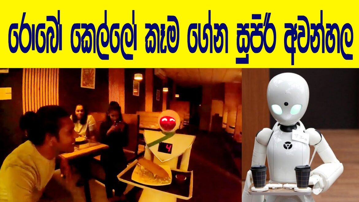 ‍රොබෝ කෙල්ල ගෙනාපු චීස් කොත්තුව සුපිරි😍CAFE ROBOT👍First Robot Restaurant In Sri Lanka 😍💪