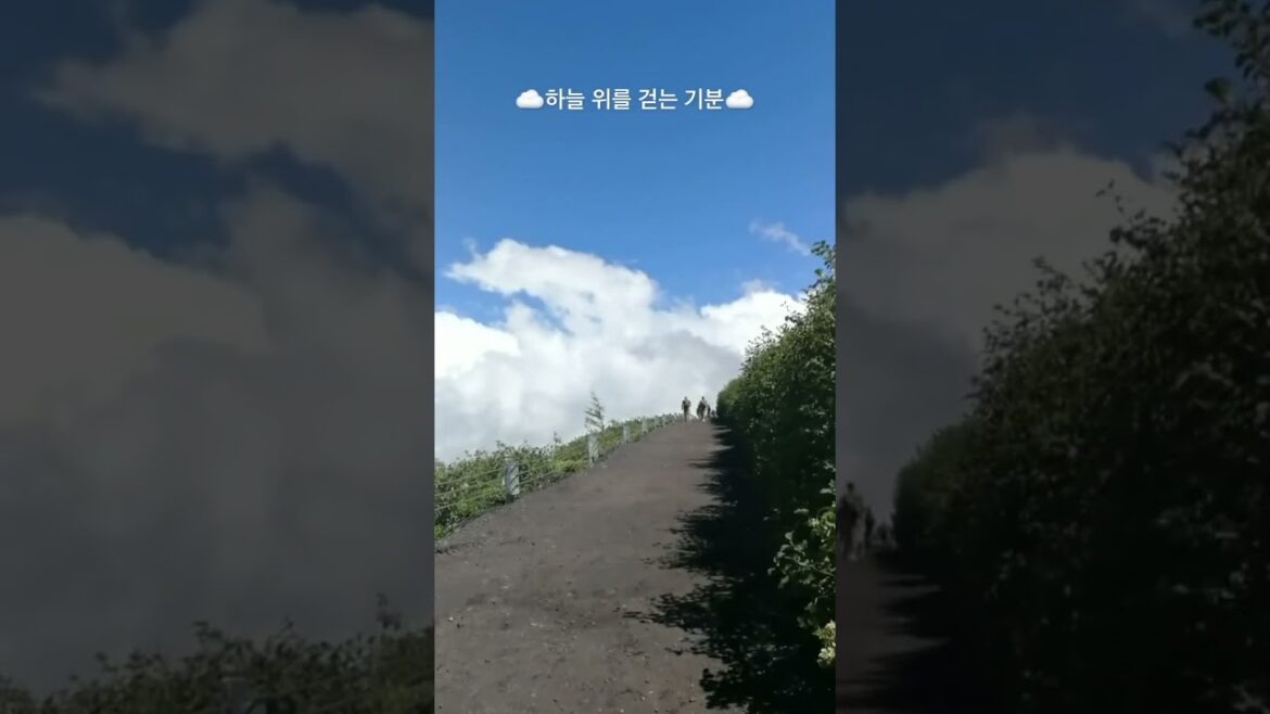 후지산 #shorts #fujisan #mountains