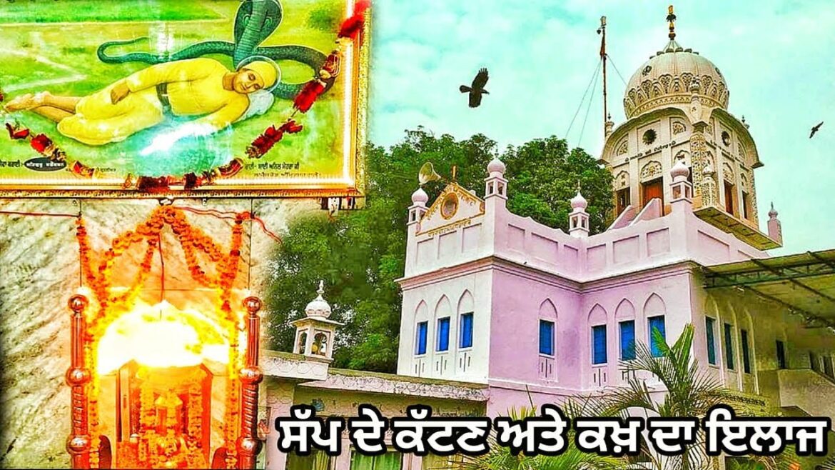 Gurudwara Nagiana Sahib Udoke batala | ਗੁਰੂ ਨਾਨਕ ਦੇਵ ਜੀ ਅਤੇ ਨਾਗ ਦੇਵਤਾ | ਸੱਪ ਦੇ ਕੱਟਣ ਅਤੇ ਕਖ਼ ਦਾ ਇਲਾਜ Gurudwara Nagiana Sahib Udoke batala | ਗੁਰੂ ਨਾਨਕ ਦੇਵ ਜੀ ਅਤੇ ਨਾਗ ਦੇਵਤਾ | ਸੱਪ ਦੇ ਕੱਟਣ ਅਤੇ ਕਖ਼ ਦਾ ਇਲਾਜ