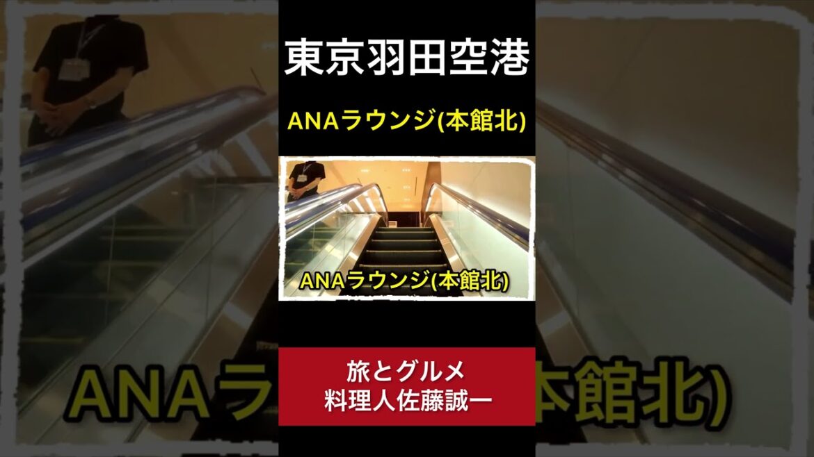 【羽田空港】プレミアムクラスで利用！ANAラウンジ (本館北)「空港ラウンジ #7」旅 haneda airport  tokyo trip #Shorts