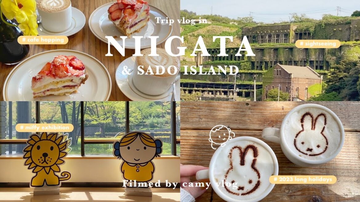 ［ Trip vlog ］時間を忘れてのんびり過ごす新潟•佐渡旅| 5:30起床⏰都会での不規則な生活をリセットする離島暮らし🐈🌿|ミッフィー展|カフェ巡りと観光etc..