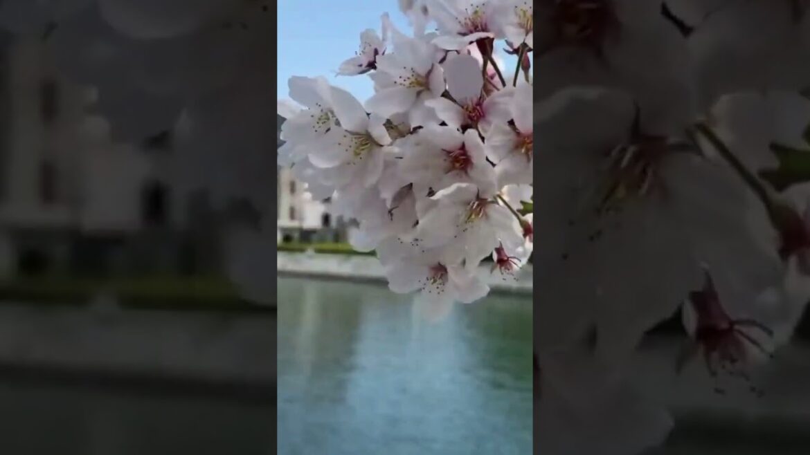Monumento de la Paz de Hiroshima en Japón 🎌