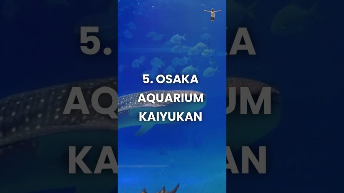 10 Best Things To Do in Osaka Japan #shorts  | Travel Guide 10 Best Things To Do in Osaka Japan #shorts  | Travel Guide