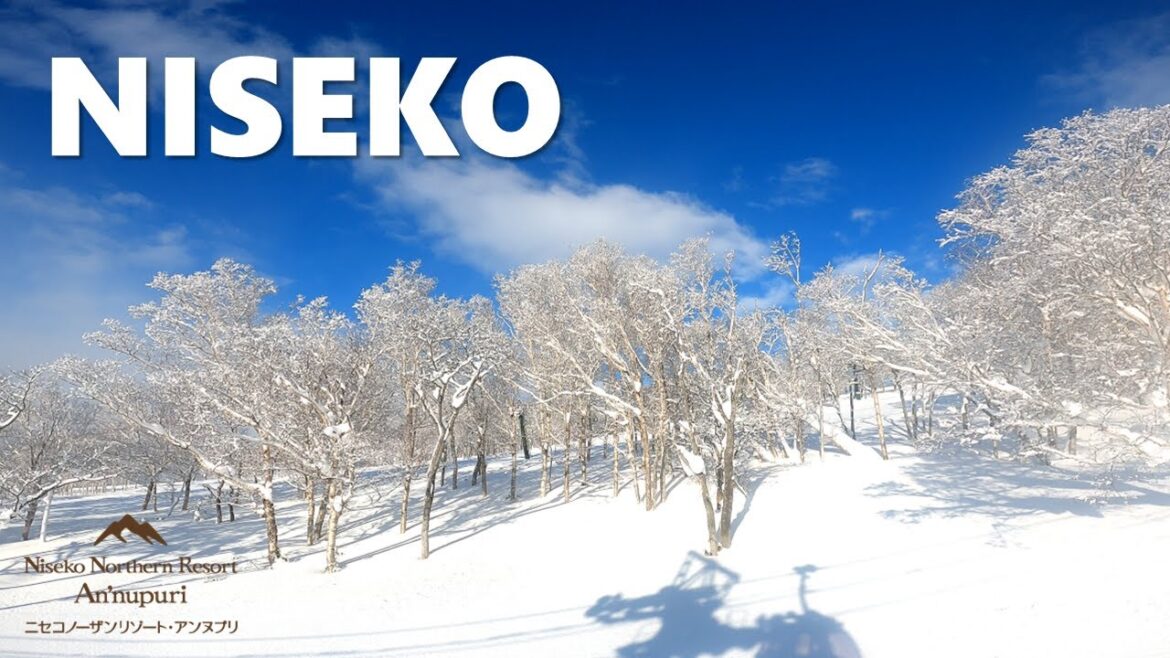 NISEKO snowboarding trip