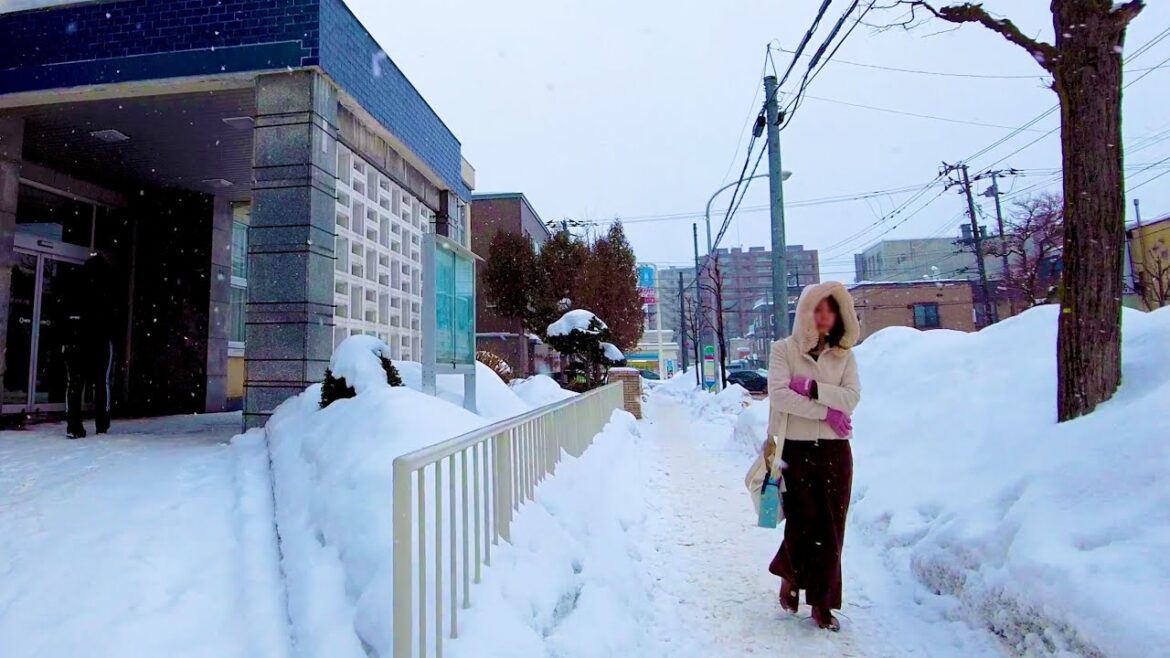Sapporo in Hokkaido, taste the snowstorm ♪ 💖 4K ASMR non-stop 1 hour 01 minutes