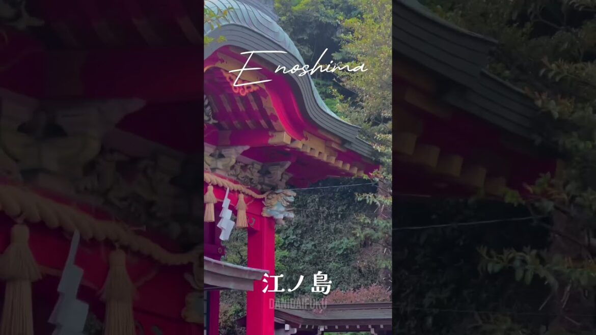 🗼7 DAYTRIP IDEAS FROM TOKYO, JAPAN 🇯🇵