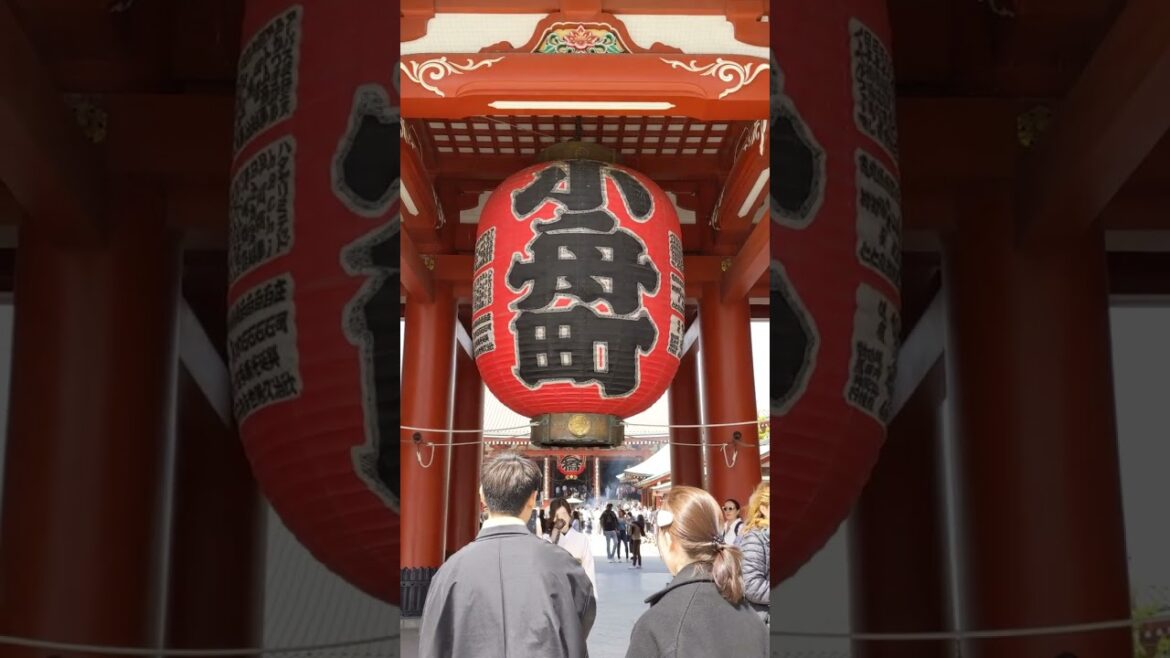 👥👪👨　１　#WELCOME BACK　#Foreign Tourists　#Sensouji #Temple #ASAKUSA