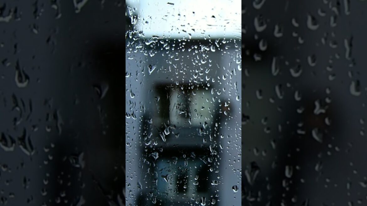 rain in city for relaxing rain in city for relaxing