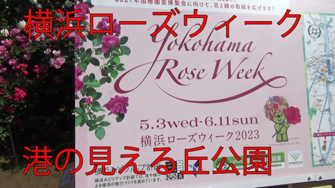 【横浜ローズウィーク！観光デートスポット】港の見える丘公園【ガーデンネックレス横浜2023】2023年5月3日！神奈川県横浜市中区