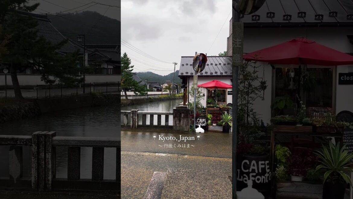 ๐บ ๐ฏ๐ต #japan #short #shorts #travel #vacation #explore #globetrotter #monde #shortsfeed #japanese ๐บ ๐ฏ๐ต #japan #short #shorts #travel #vacation #explore #globetrotter #monde #shortsfeed #japanese