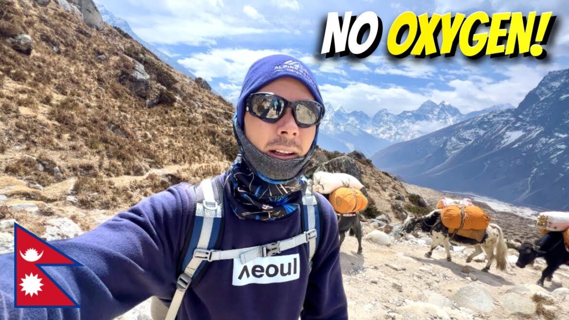 My First Time Trekking the Himalayas in Nepal (No Oxygen!)๐ณ๐ต My First Time Trekking the Himalayas in Nepal (No Oxygen!)๐ณ๐ต