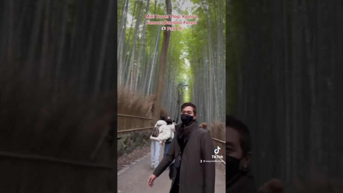 Mini Travel Vlog: Kyoto’s Famous Bamboo Forest 🇯🇵 #japan #kyoto #bambooforest #arashiyama