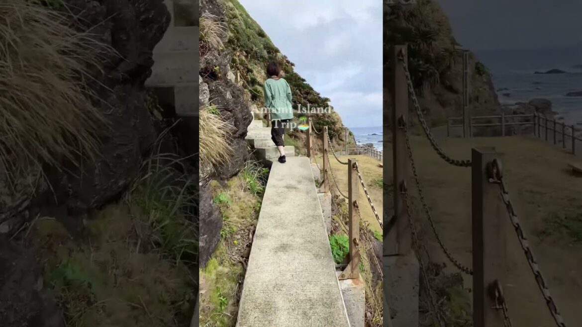 【観光】Amami Island / 奄美大島の笠利崎灯台(鹿児島) #shorts 【観光】Amami Island / 奄美大島の笠利崎灯台(鹿児島) #shorts