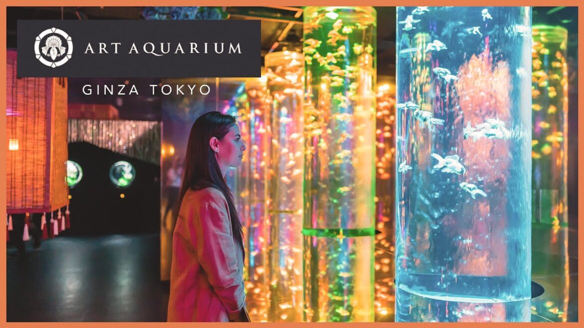 Art Aquarium Museum Review in Ginza Tokyo