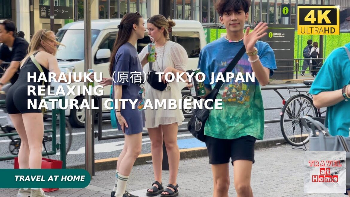 4k hdr japan travel | Walk in Harajuku（原宿）Tokyo japan |  Relaxing Natural City ambience