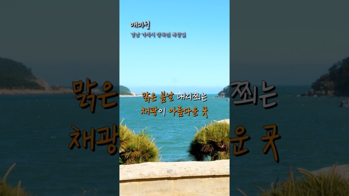 1분 감성 여행 01 | 🎞 거제도 최고의 인생샷 포토존