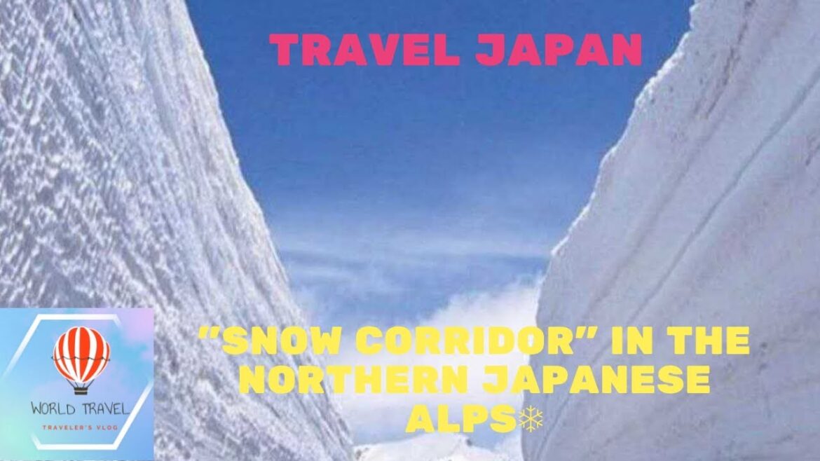 Japan🇯🇵 Snow Corridor in the Northern Japanese Alps❄️ Japan🇯🇵 Snow Corridor in the Northern Japanese Alps❄️