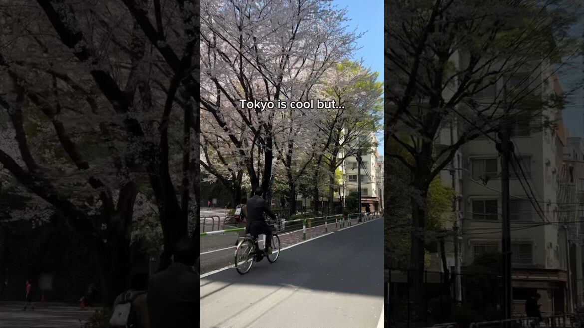 Tokyo is cool but… #fukuoka #japan
