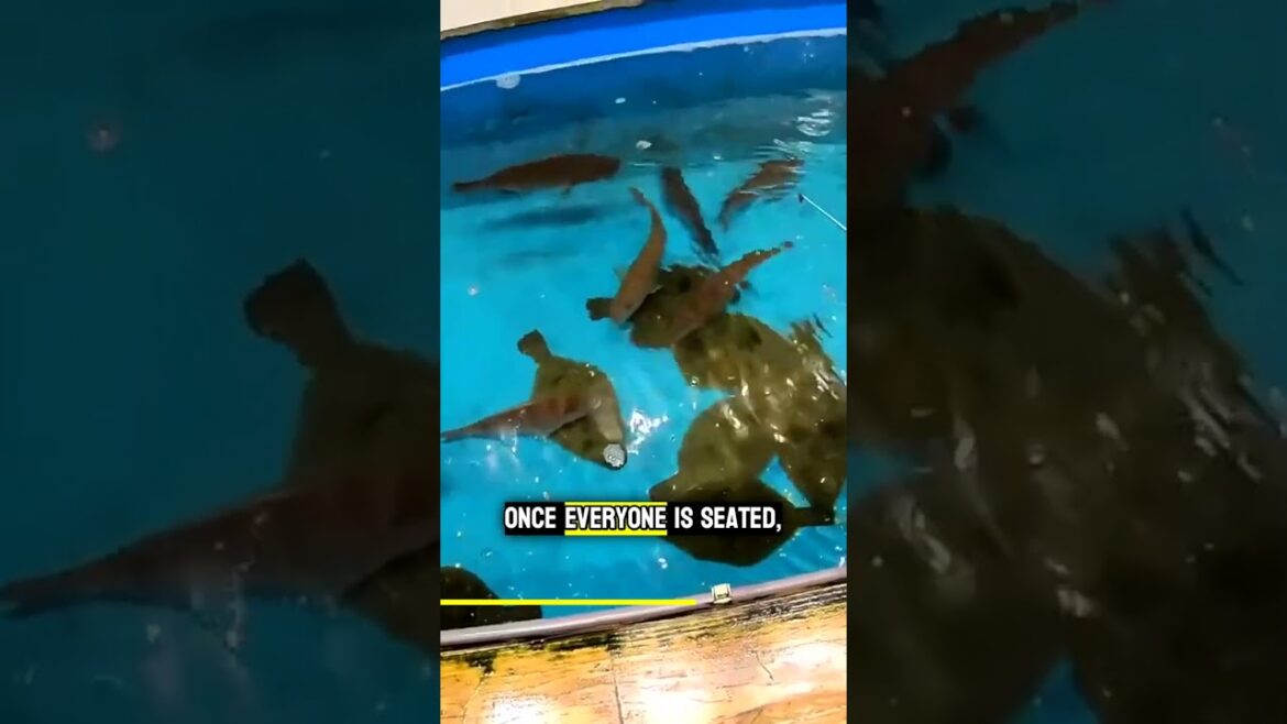 Dine differently: Fish your lunch at Tsurikichi in Osaka's Shinsekai! #shorts