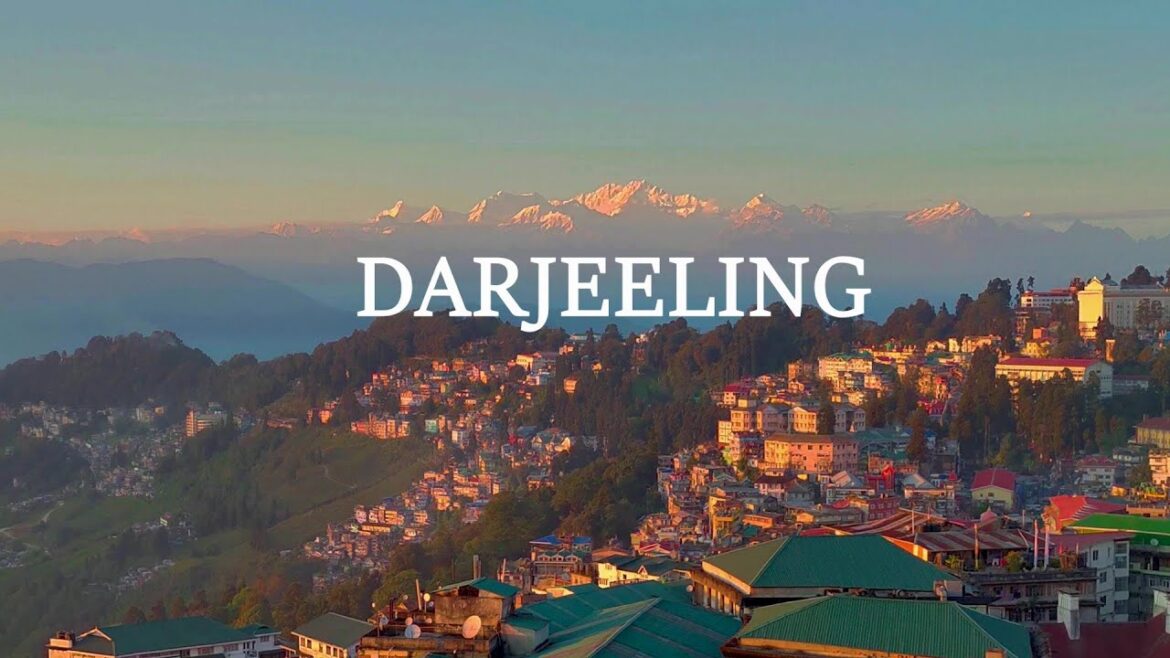 DARJEELING TOUR | 🚂Toy Train, Ghum, Tea Garden🍵