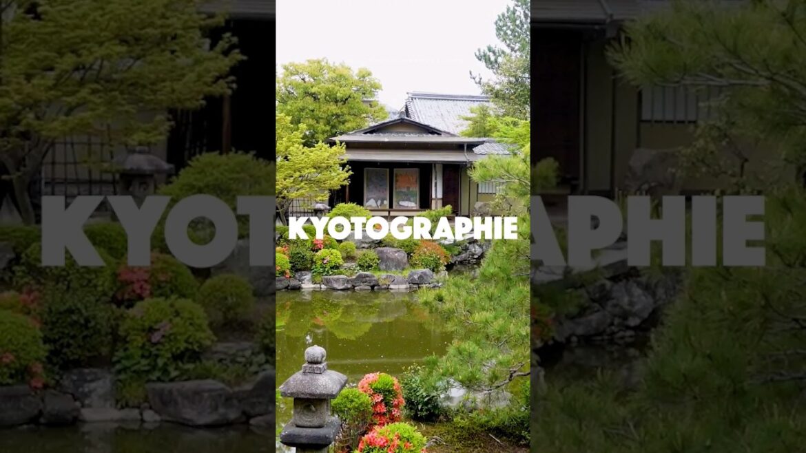 Let’s discover Kyotographie together part 1 of the vlog is up! #art #lifeinjapan #kyoto #japan Let's discover Kyotographie together part 1 of the vlog is up! #art #lifeinjapan #kyoto #japan