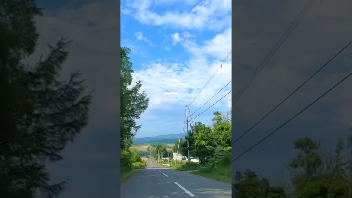 ￼￼でっかいどー！ #shorts #hokkaido