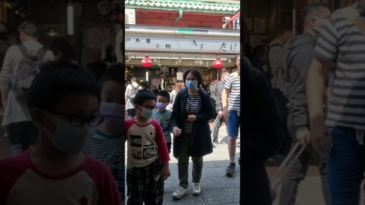We came here for the delicious ice cream 🍦  #tokyo #streetfood #travelshort #japan  #nakamisedori