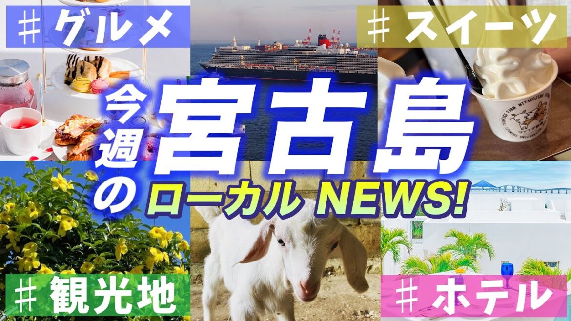 【宮古島・最新ローカル情報】旅行前に知っておきたい旅情報が満載！混むのはいつ？クルーズ入港情報／絶景アフタヌーンティー／宮古島牛乳復活支援について | 沖縄 | 旅行 | 紹介 | Okinawa