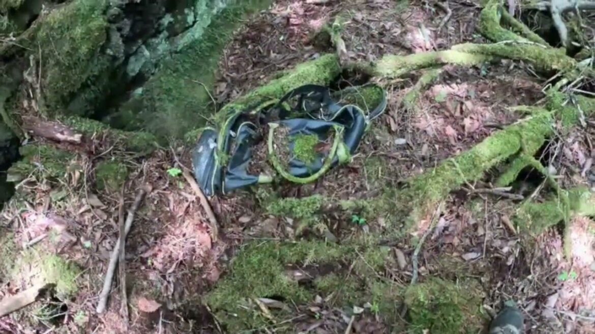 Aokigahara Round 7 Part 9