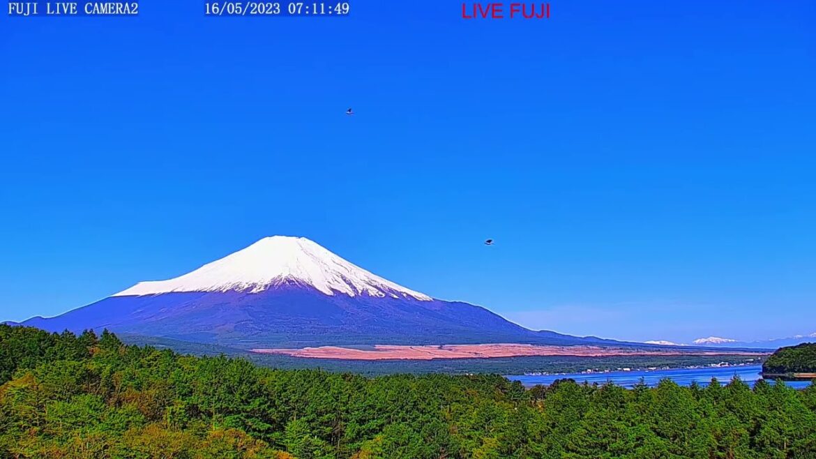 FUJI LIVE CAMERA  春の富士山、北斎画の富士山、Mt. Fuji" live camera, World heritage of JAPAN.！世界遺産「富士山」昼の部、（竹の間）