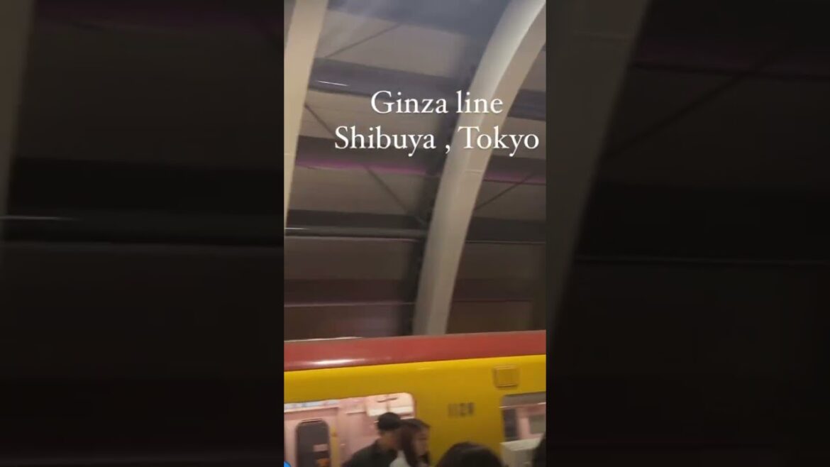 Random subway shorts, Tokyo#explore #japan #konnichiwa#shibuya#ytshorts#explorechannel#search#travel