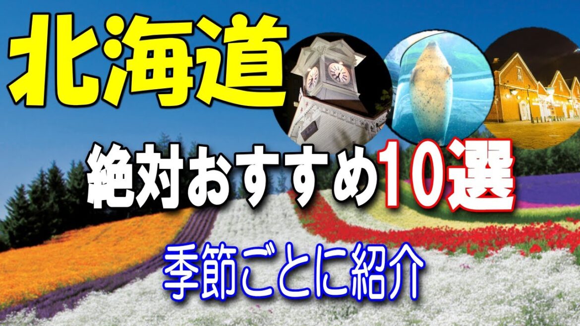 【北海道観光BEST10】季節毎の魅力を紹介します