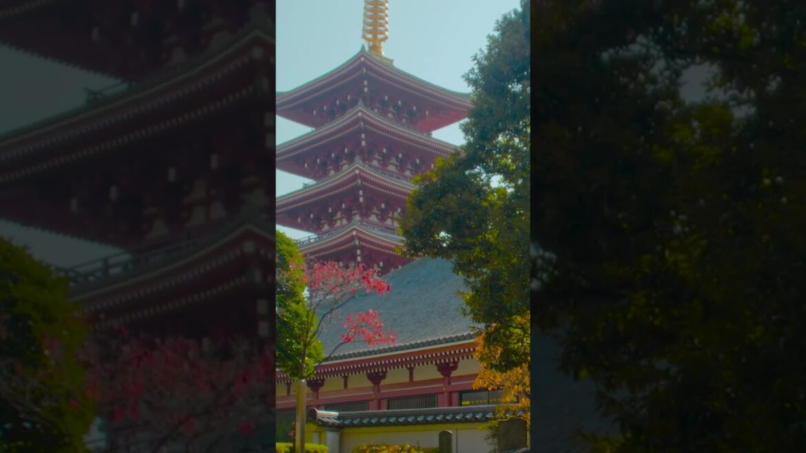 Artist sketching Sensō-ji’s pagoda in park | Amazing Japan Travel Adventure Documentary Artist sketching Sensō-ji's pagoda in park | Amazing Japan Travel Adventure Documentary