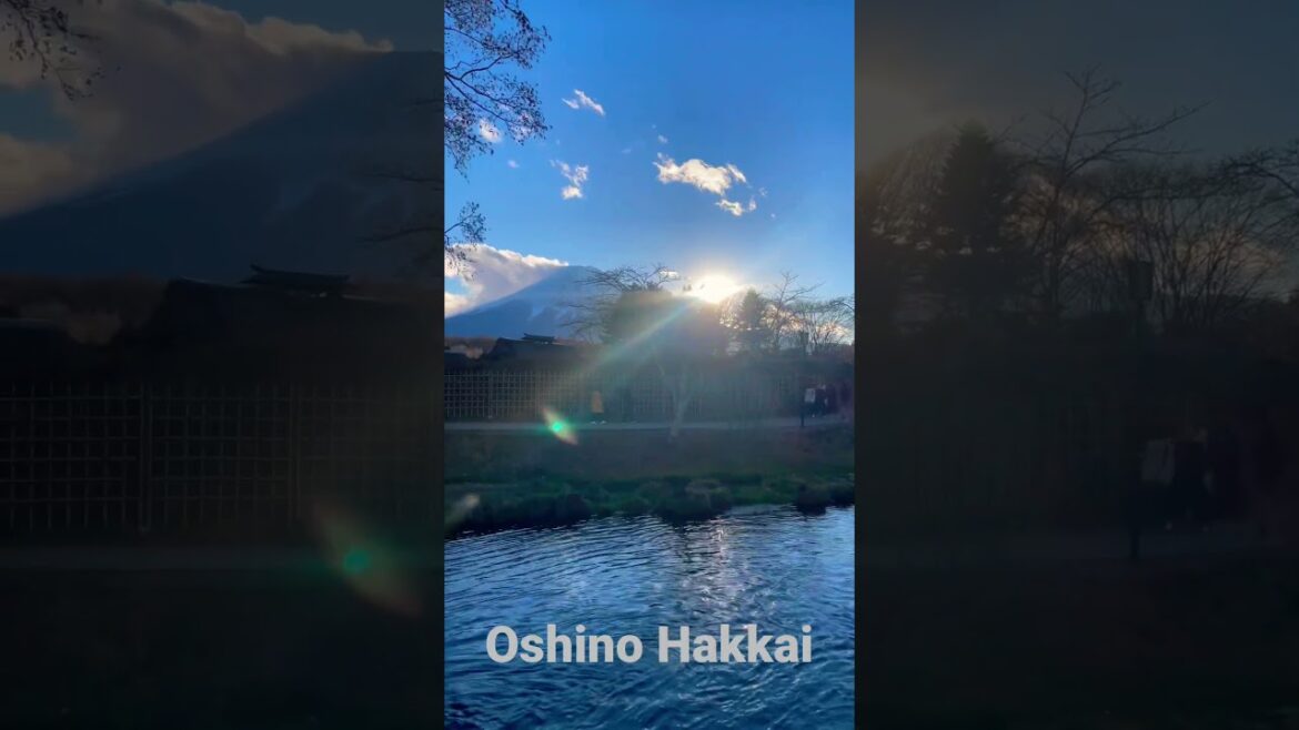 この場所はとても美しく、たくさんの静けさをもたらします