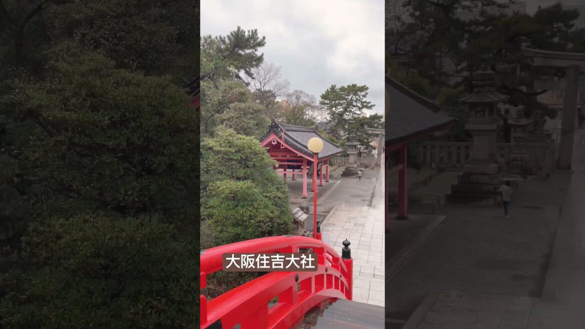 Beautiful Traditional Japanese Temple in Osaka 🥰 #japan #osaka #travel