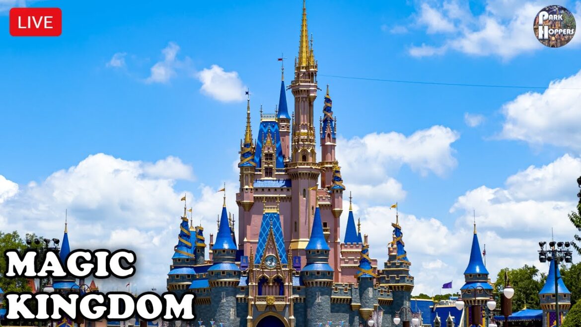 π΄ LIVE: Magic Kingdom | Let’s Go Get That Pumpkin! | Marvelous Monday | Walt Disney World 2023 π΄ LIVE: Magic Kingdom | Let's Go Get That Pumpkin! | Marvelous Monday | Walt Disney World 2023