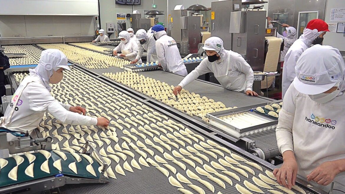 만두공장 Amazing mass production! Daily 20 tons! Dumpling making process - Korean food factory
