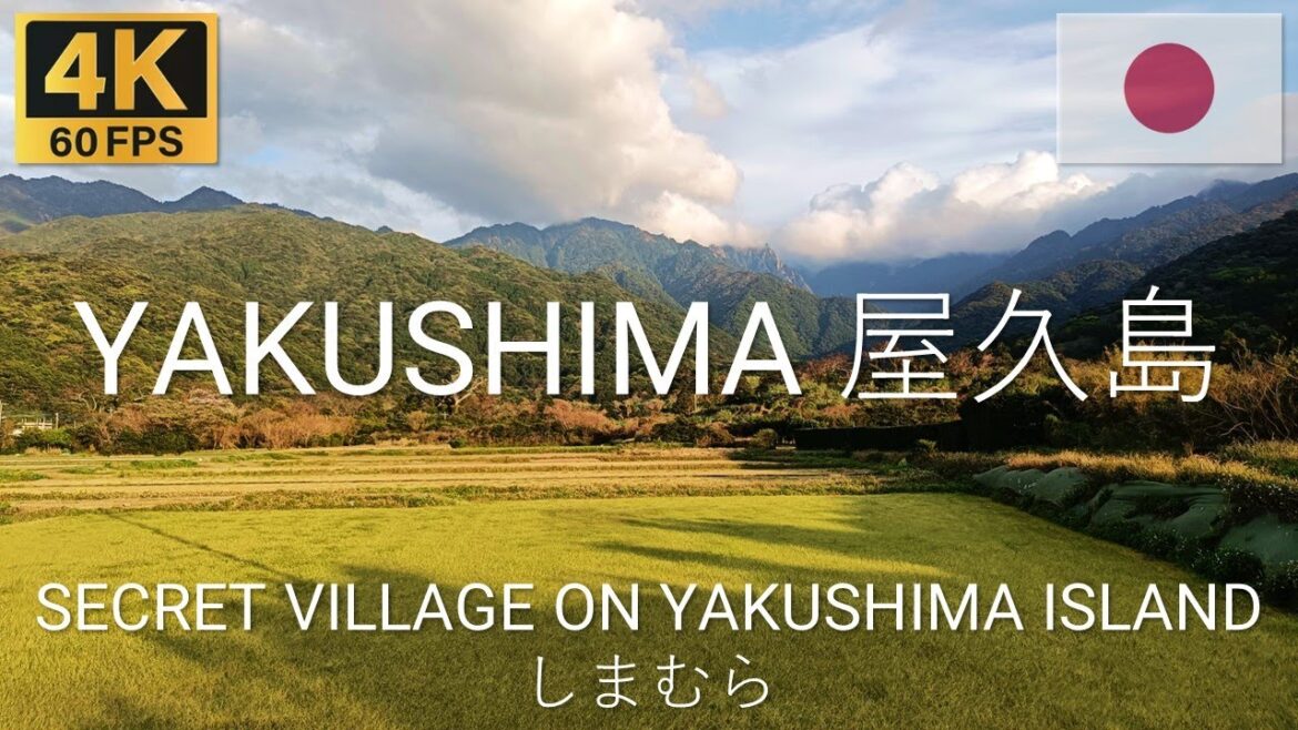 Yakushima 屋久島町 Japan 🇯🇵 | 2023 | 4K·60p | Walk in Remote Nagata Village 人里離れた永田村の散策