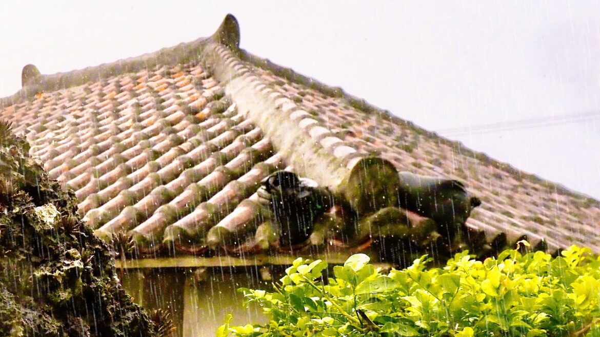 【睡眠用】優しい雨の音と鳥のさえずりでリラックスする2時間 4K