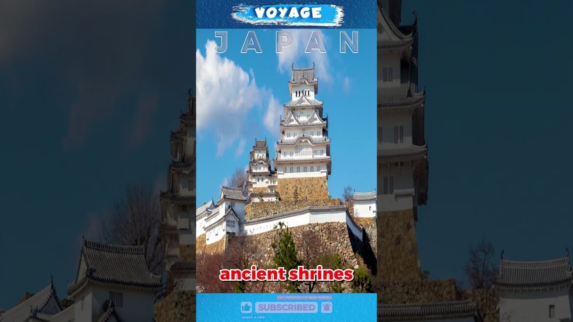 Tokyo Tour Unleashed: Unveiled Stray Kids' Epic Mission Tour in the World's Metropolis Japan Travel