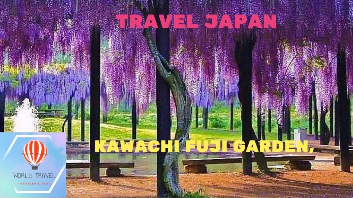 Kawachi Fuji Garden. Japan