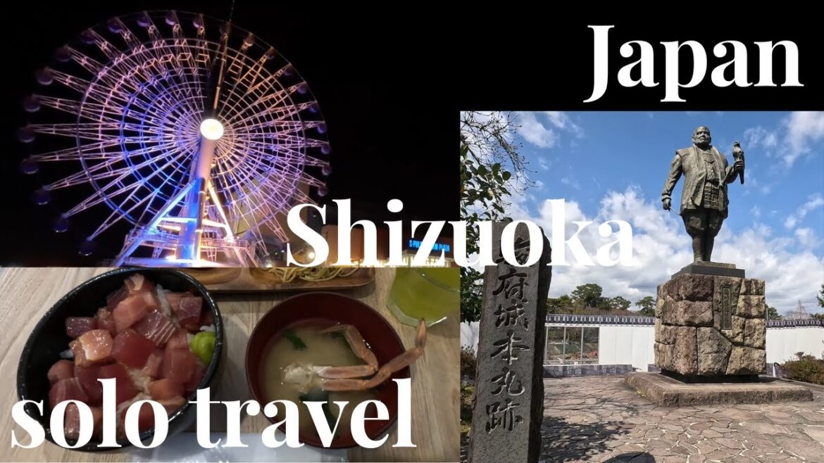 【Japan】【Shizuoka】night view and castle ruins 【Japan】【Shizuoka】night view and castle ruins