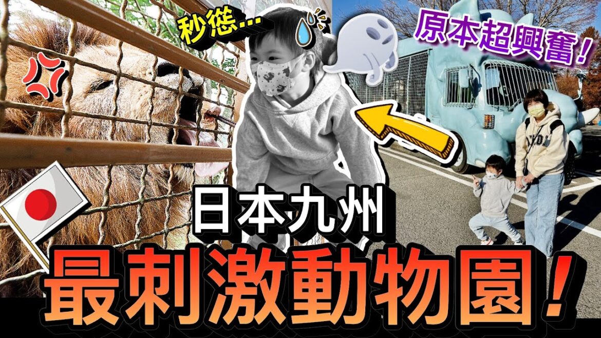 兒子秒慫!親子必去九州最刺激動物園…竟然被獅子嚇到石化!?||2022日本九州福岡自由行 ep4 兒子秒慫!親子必去九州最刺激動物園...竟然被獅子嚇到石化!?||2022日本九州福岡自由行 ep4