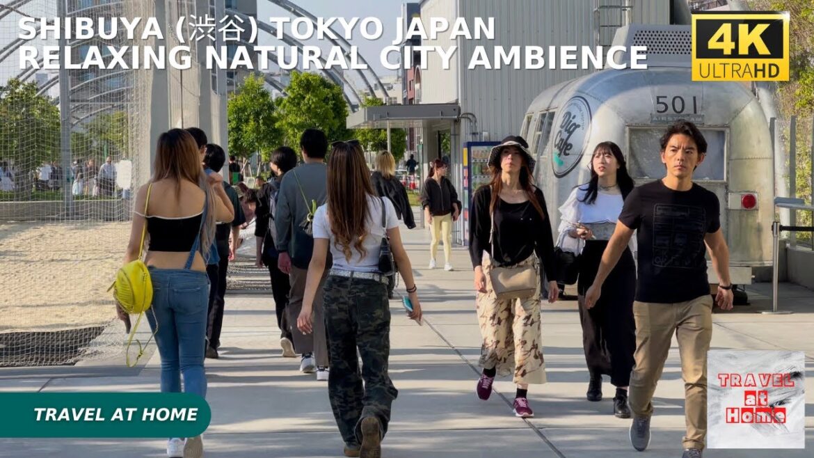 4k hdr japan travel | Walk in Shibuya (渋谷) Tokyo japan |  Relaxing Natural City ambience