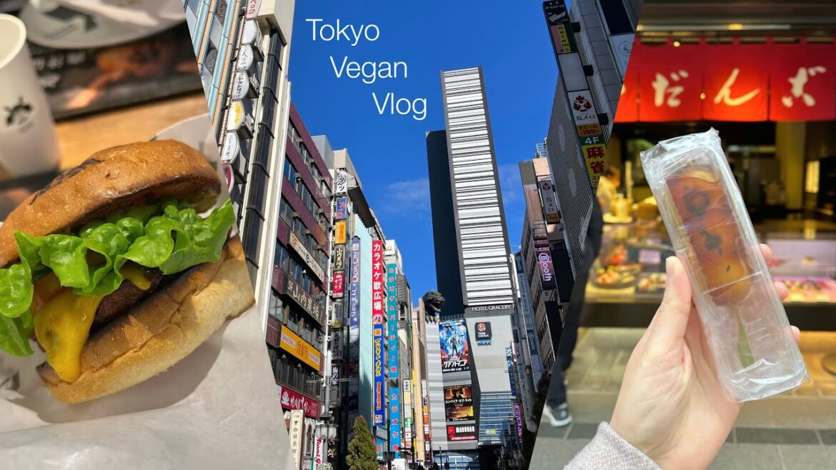 Vegan in Shinjuku 🍡🦖 | Japan Vegan Travel – Part 11 Vegan in Shinjuku 🍡🦖 | Japan Vegan Travel - Part 11